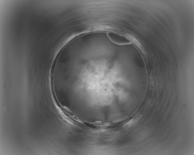 X0000075831047200609151233