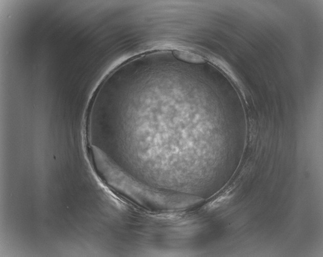 X0000075831048200609151233