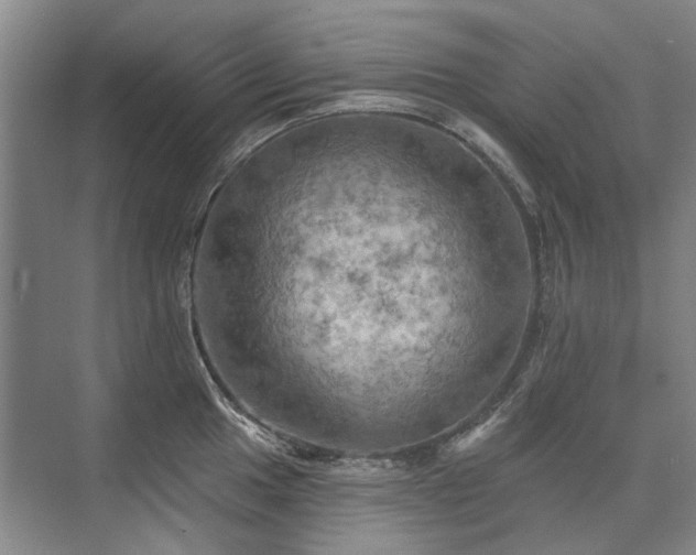 X0000075831049200609151233