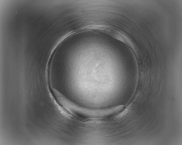 X0000075831050200609151233