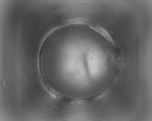 X0000075831051200609151233