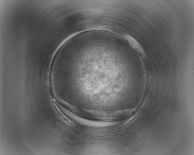 X0000075831052200609151233