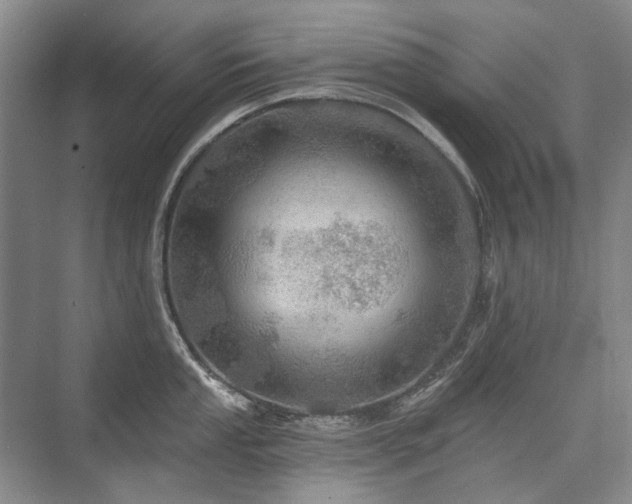 X0000075831053200609151233