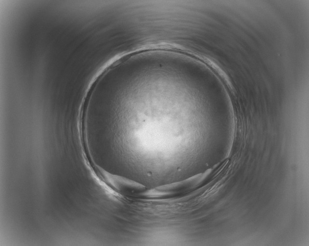 X0000075831054200609151233