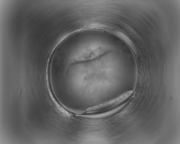 X0000075831055200609151233