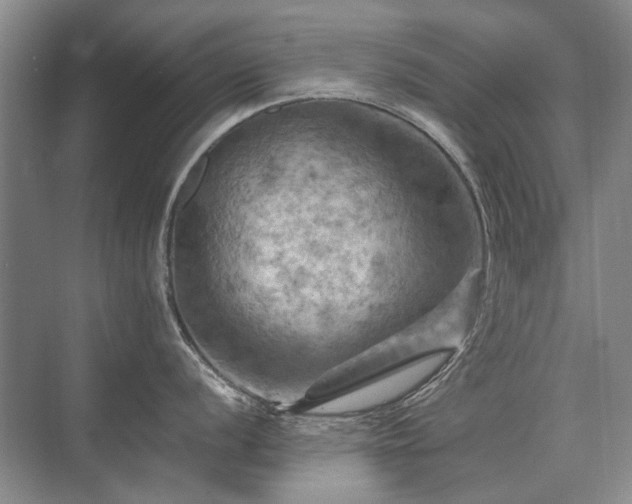 X0000075831056200609151233