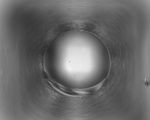 X0000075831058200609151233