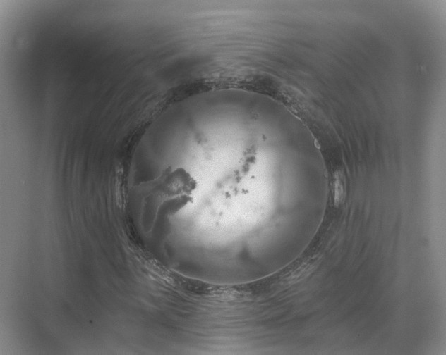 X0000075831059200609151233