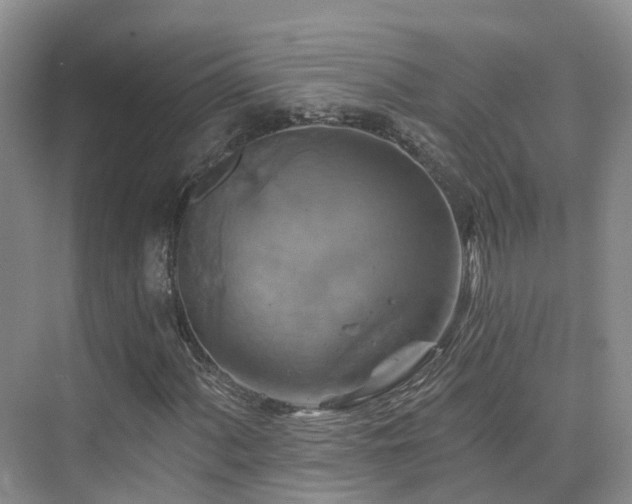 X0000075831060200609151233