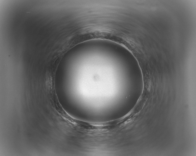 X0000075831061200609151232