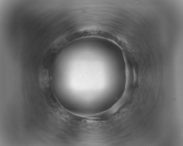 X0000075831062200609151232