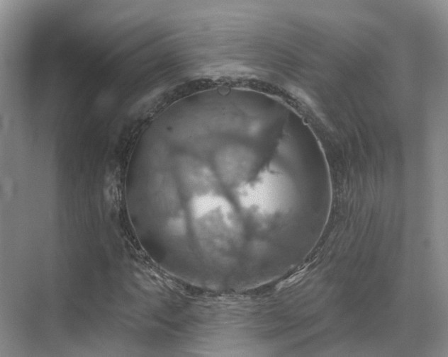 X0000075831063200609151232