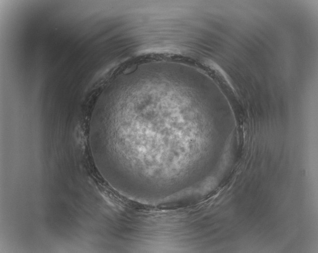 X0000075831064200609151232