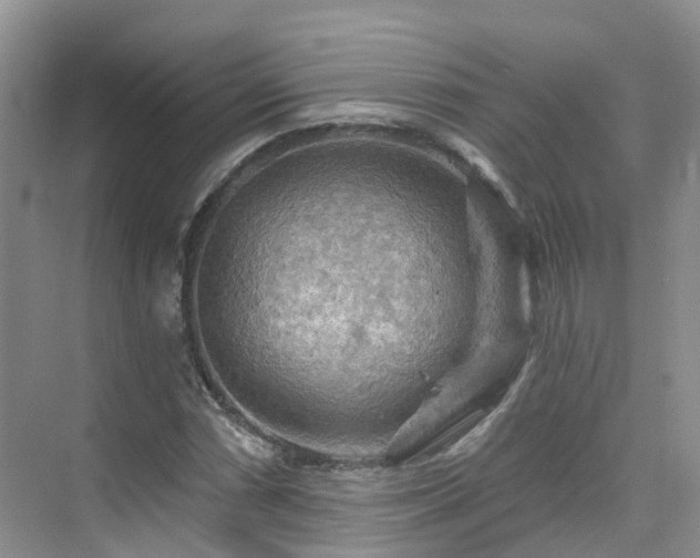 X0000075831066200609151232