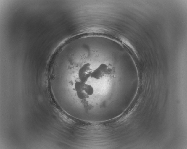 X0000075831067200609151232