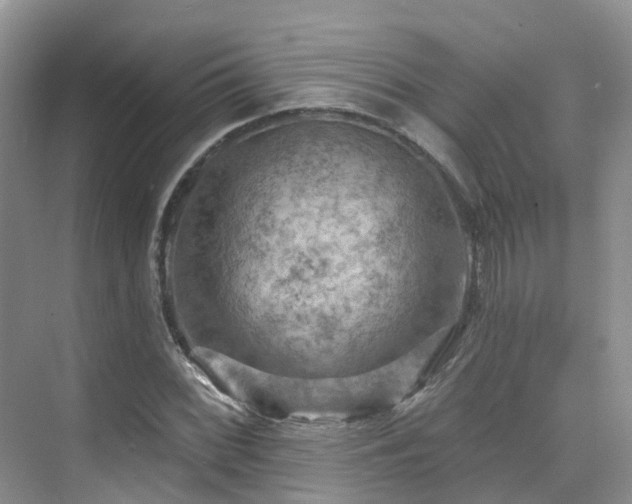 X0000075831068200609151232