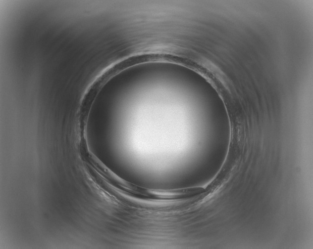 X0000075831069200609151232