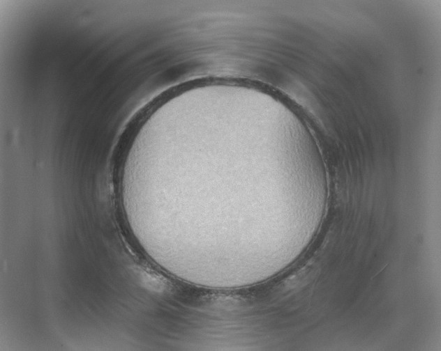 X0000075831070200609151232