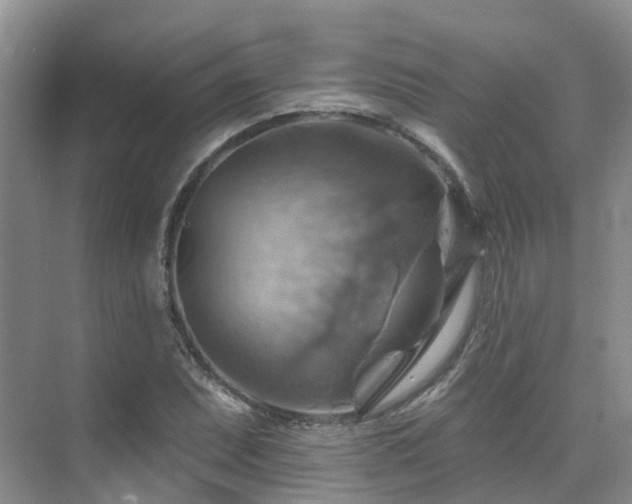 X0000075831071200609151232