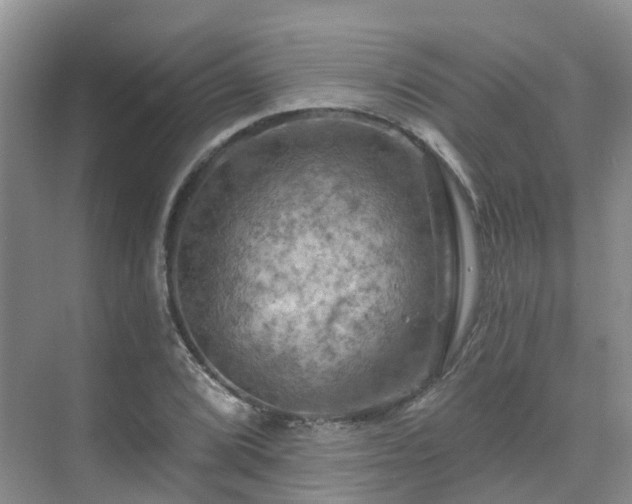 X0000075831072200609151232