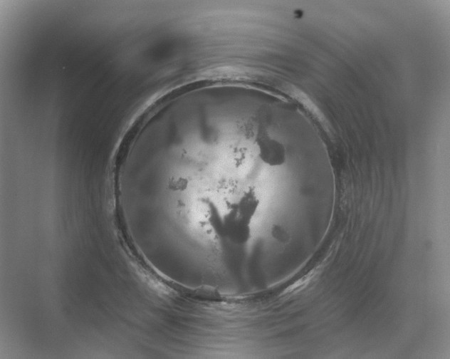 X0000075831075200609151232