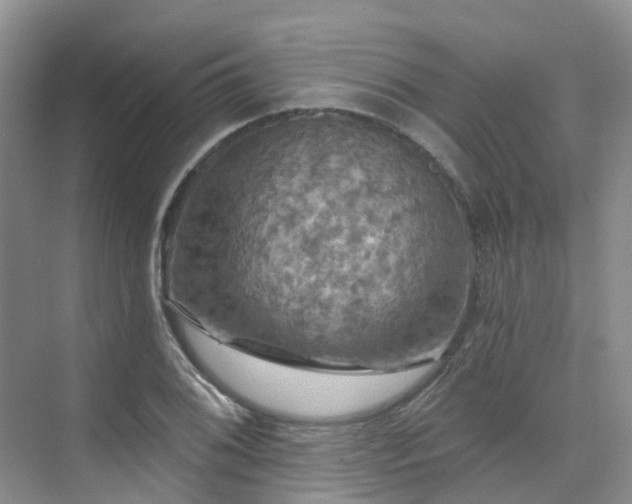 X0000075831076200609151232