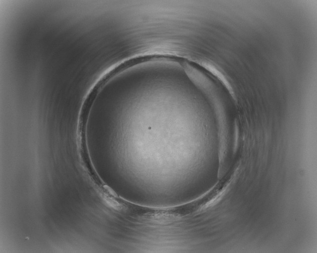 X0000075831077200609151232