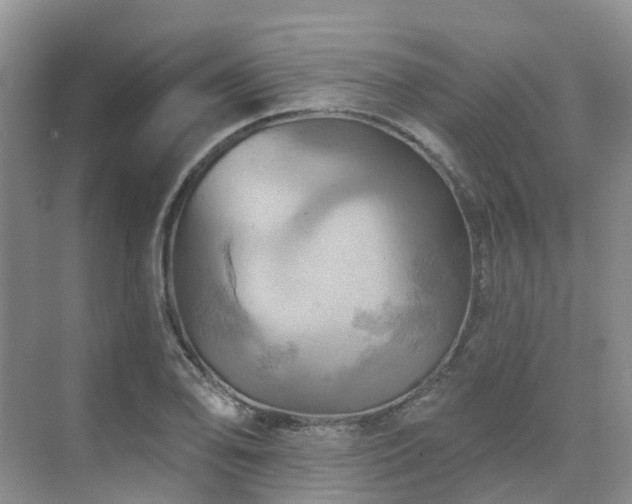 X0000075831078200609151232