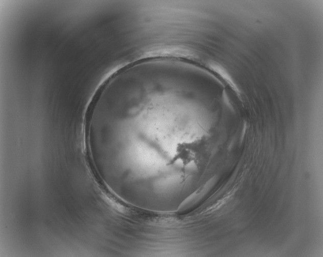 X0000075831079200609151232