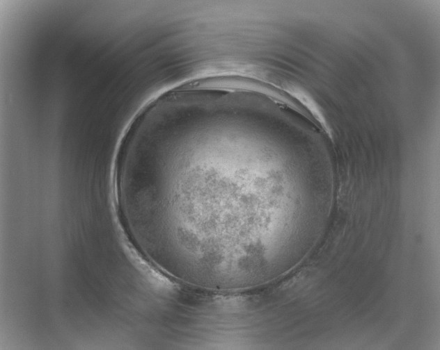 X0000075831080200609151232