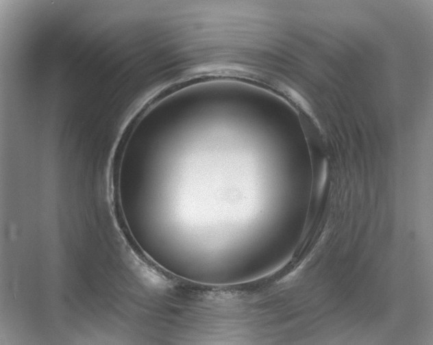 X0000075831082200609151232