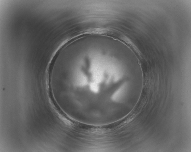 X0000075831083200609151232