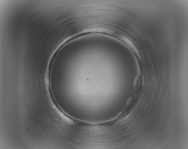 X0000075831084200609151232