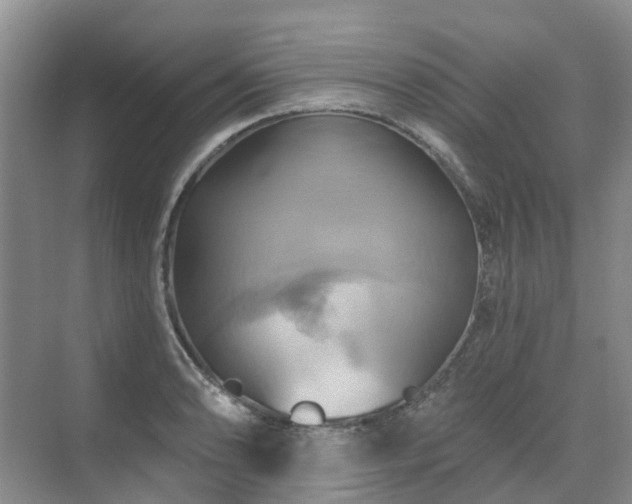 X0000075831086200609151232