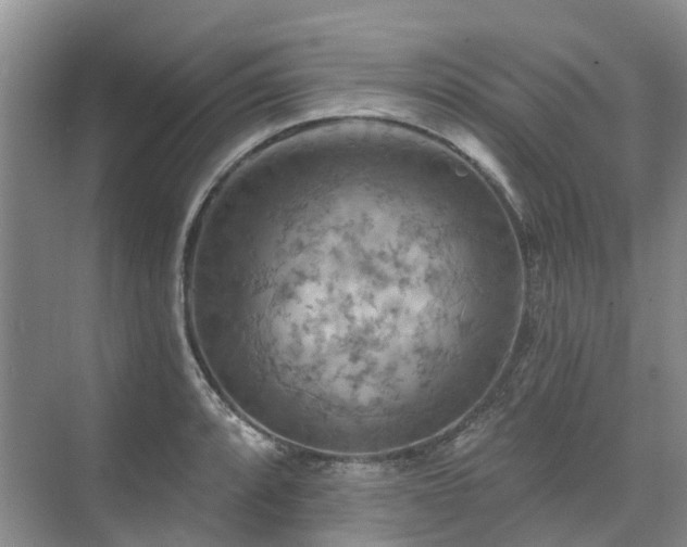 X0000075831088200609151232