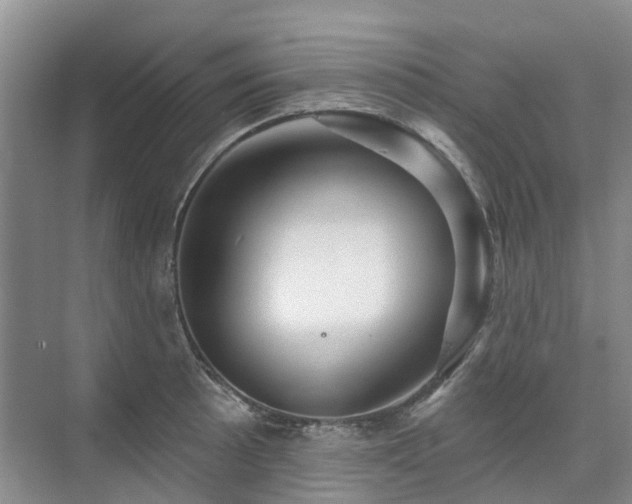 X0000075831089200609151232