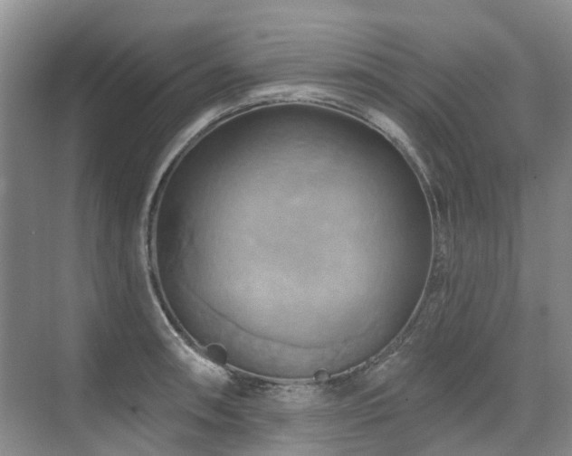 X0000075831090200609151232