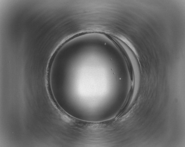 X0000075831093200609151232