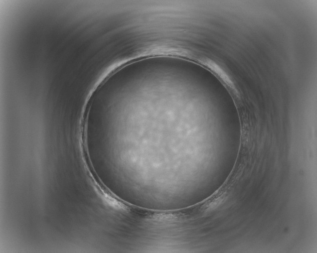 X0000075831094200609151232