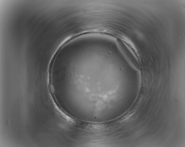 X0000075831095200609151232