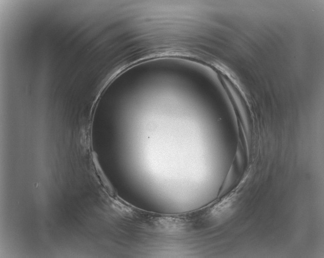 X0000075831097200609151232