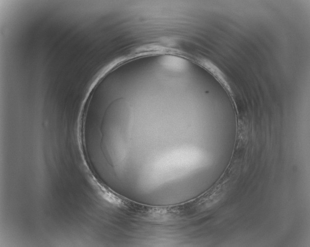 X0000075831098200609151232