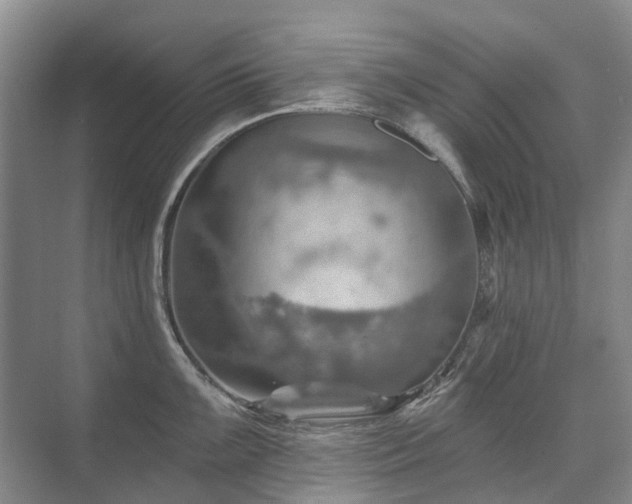 X0000075831099200609151232