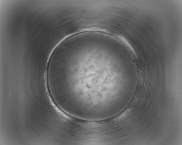 X0000075831100200609151232