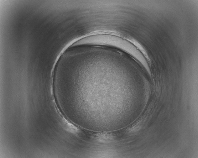 X0000075831102200609151232