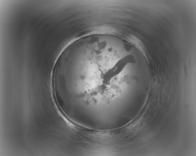 X0000075831103200609151232