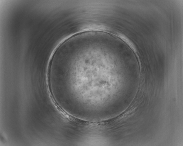 X0000075831104200609151232