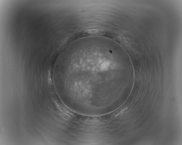 X0000075831106200609151231