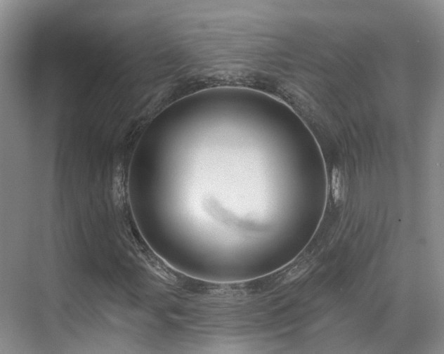 X0000075831107200609151231