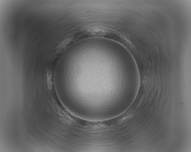 X0000075831108200609151231